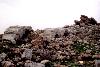 Ammonite Tower in Bayadeh Wadi Es Seir