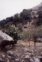 Wadi Azraq Mill