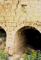 Trough in Umm Qays Museum