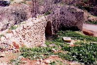 Trough in Umm Qays Museum