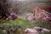Wadi Hisban (Lower)