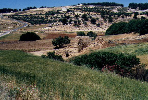 Wadi Hisban (Upper)